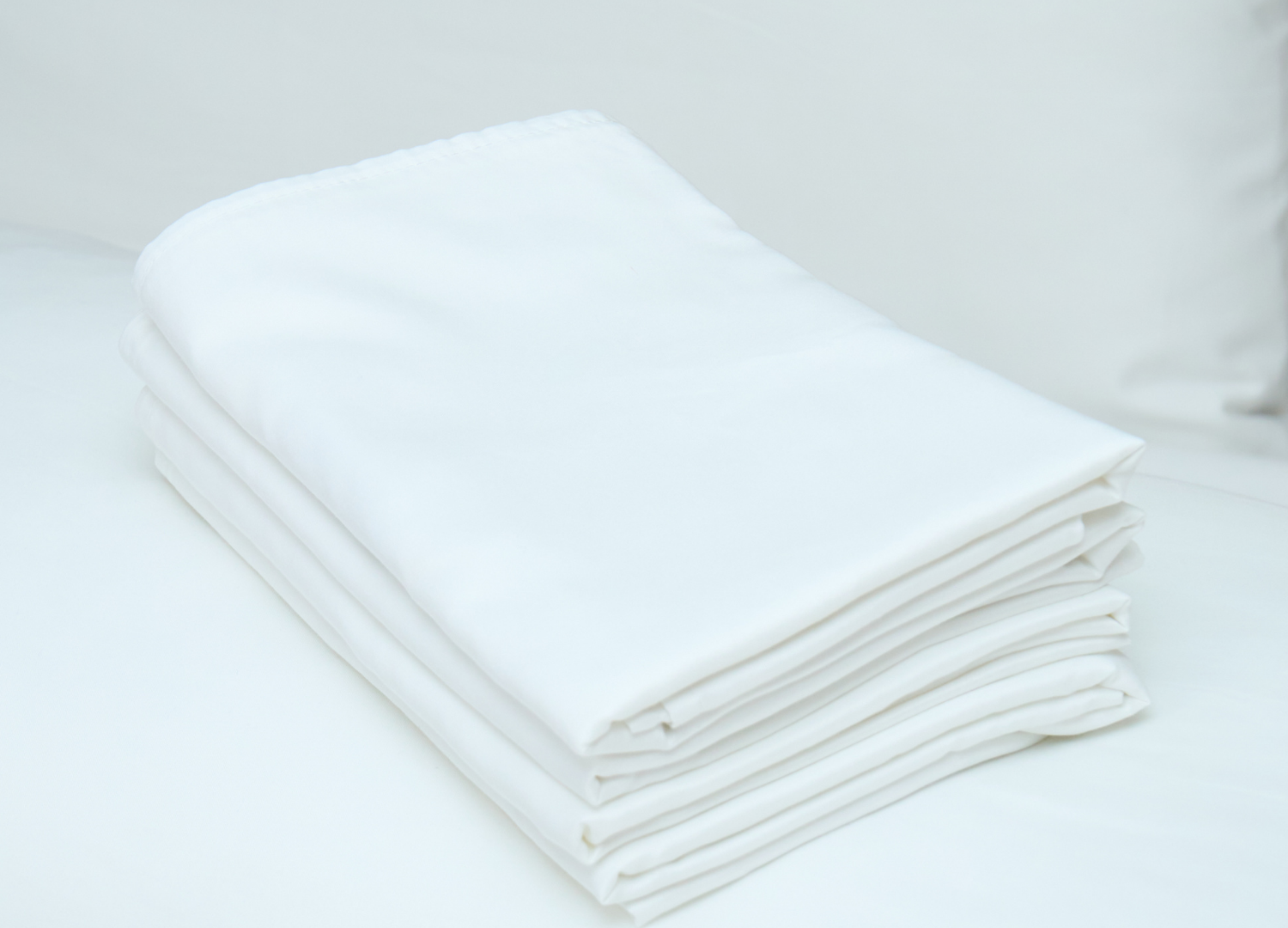 PROTECTOR DE ALMOHADA