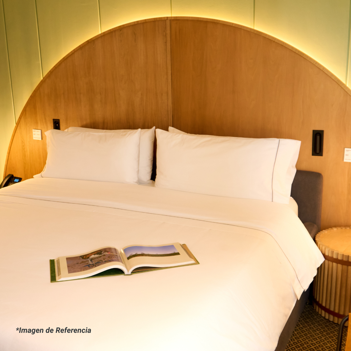 EXPERIENCIA 5 ESTRELLAS: Hotelería Premium